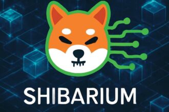 what is shibarium