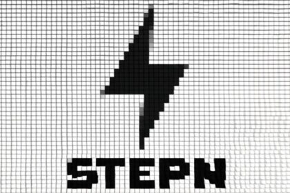 what is stepn