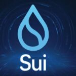 What is Sui?