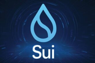 What is Sui?
