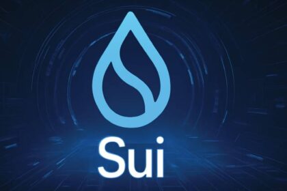 What is Sui?
