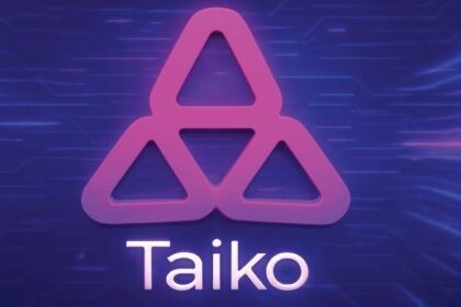 What is Taiko?