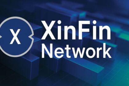 What is XinFin Network?